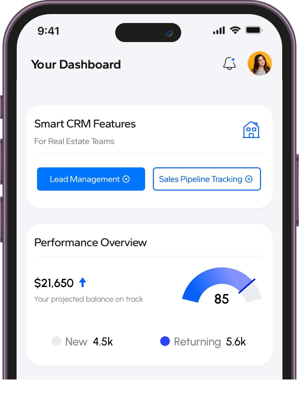 Real Estate CRM for Teams Features