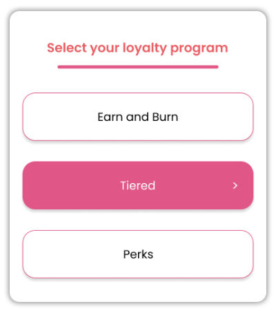 Choose loyalty program for each customer segment