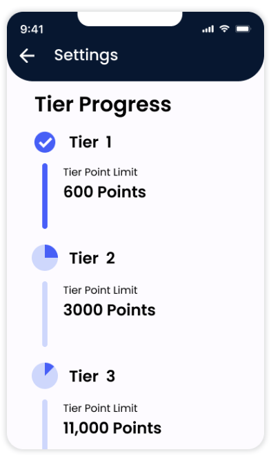 Tier based loyalty program